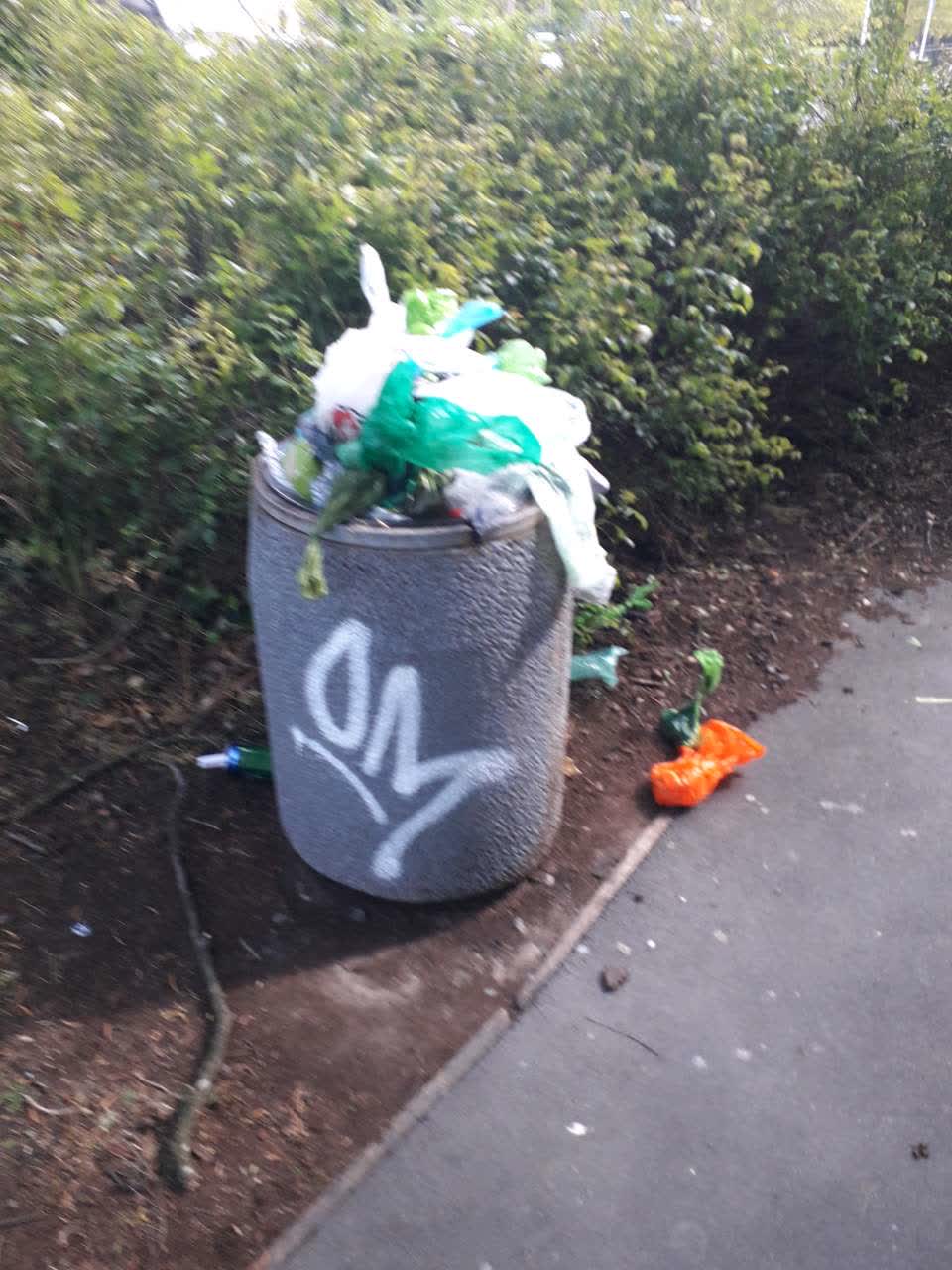 The photograph attached to this rubbish/recycling report