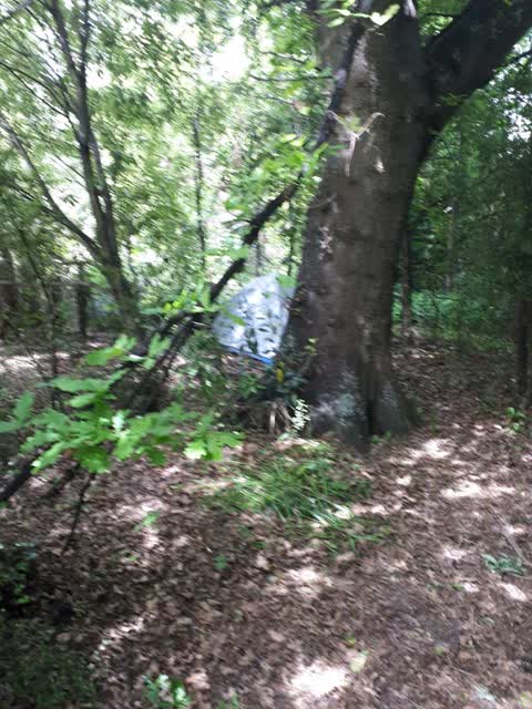 Parks, a report photo