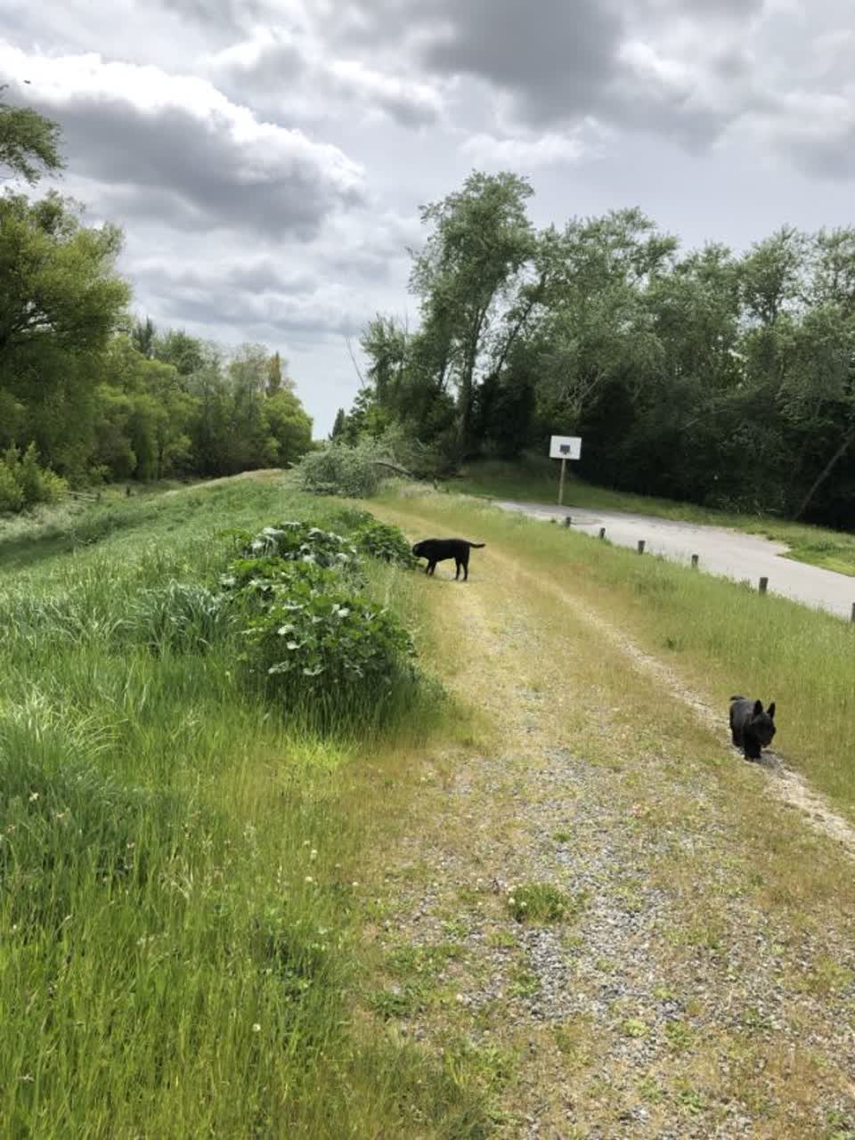 The photograph attached to this parks report