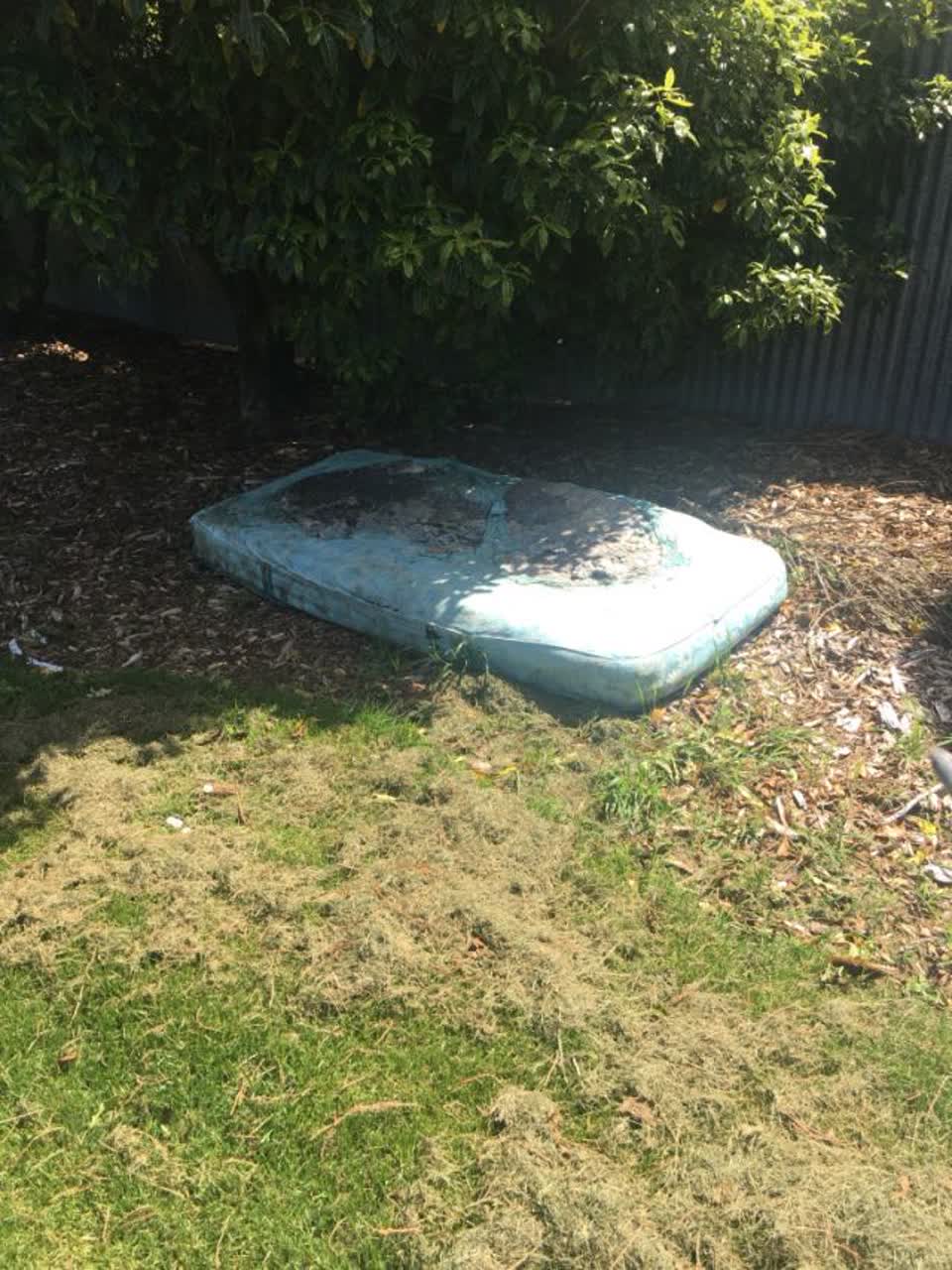 The photograph attached to this parks report