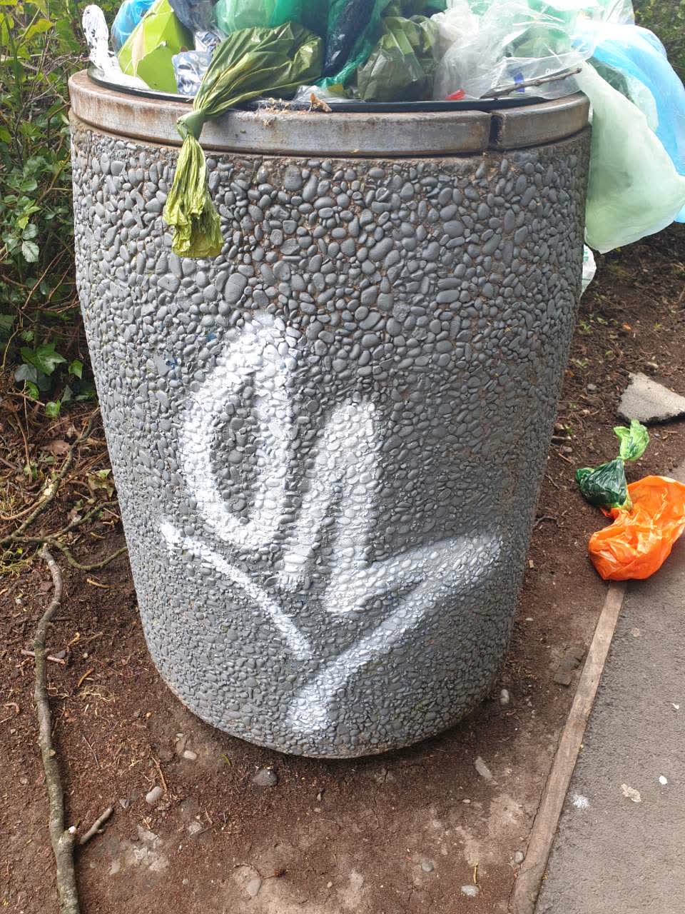 The photograph attached to this graffiti report