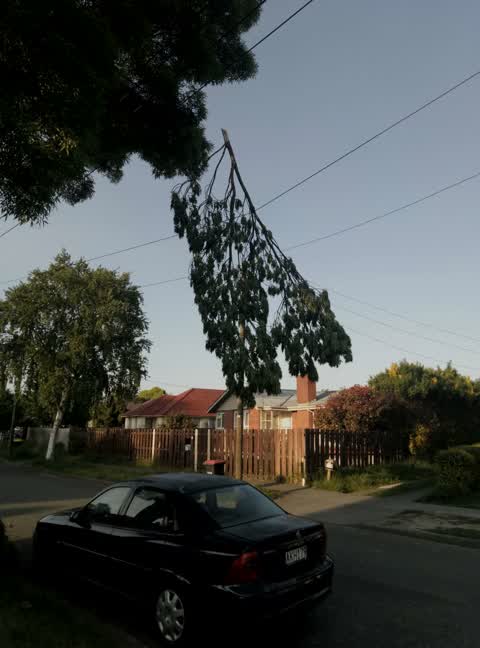 Roading/Streets, a report photo