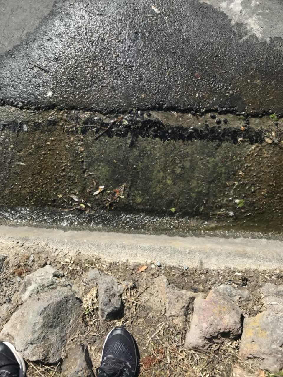 The photograph attached to this roading/streets report