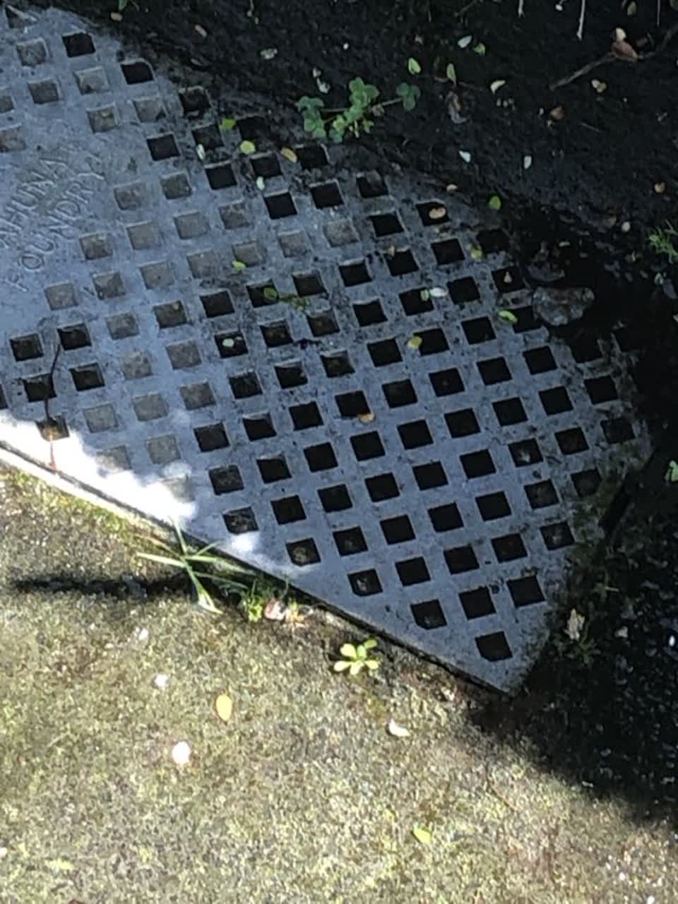The photograph attached to this water supply report