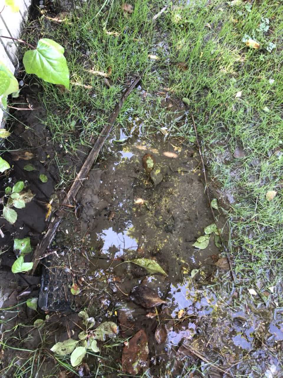 The photograph attached to this water supply report