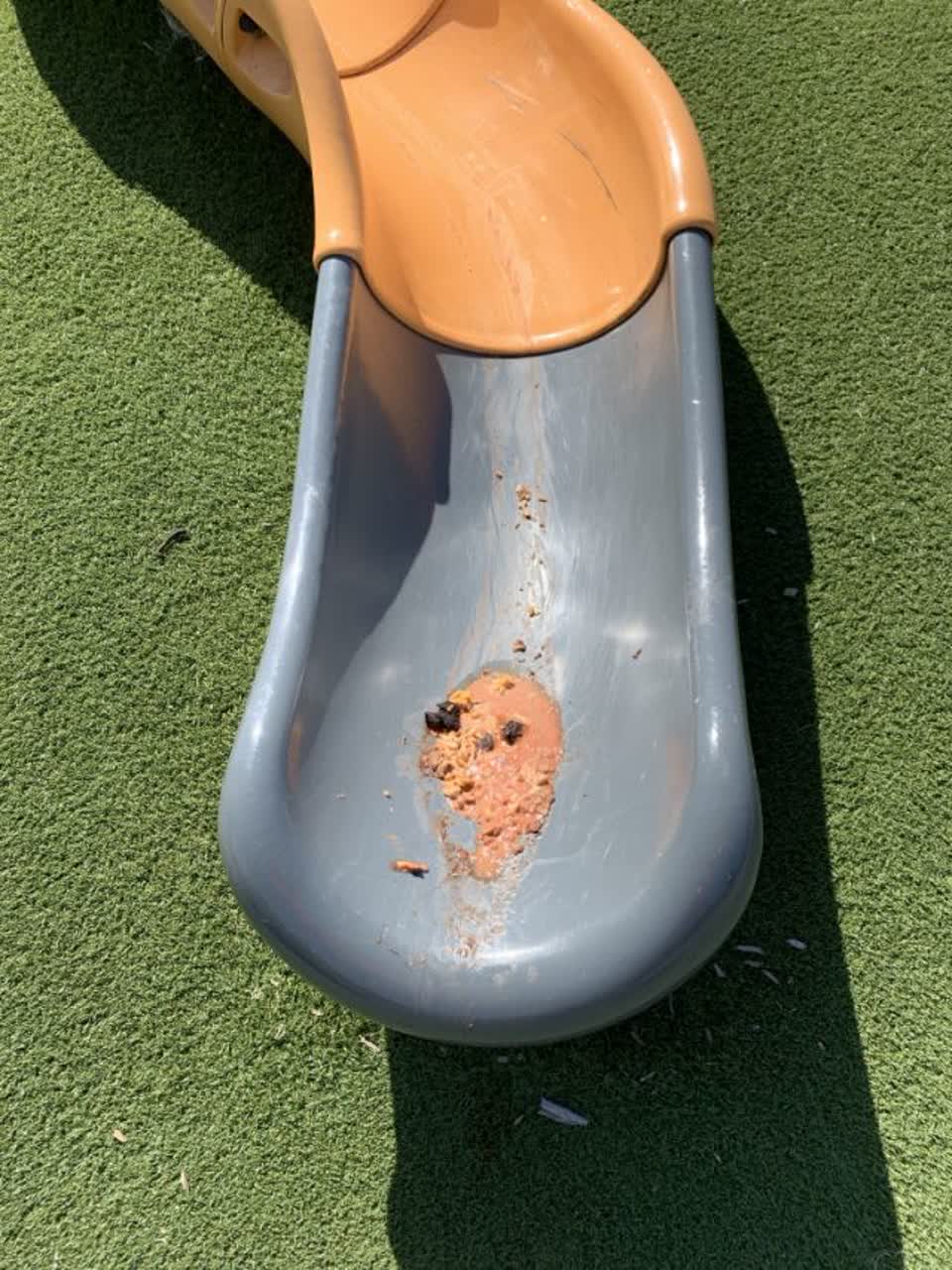 The photograph attached to this parks report