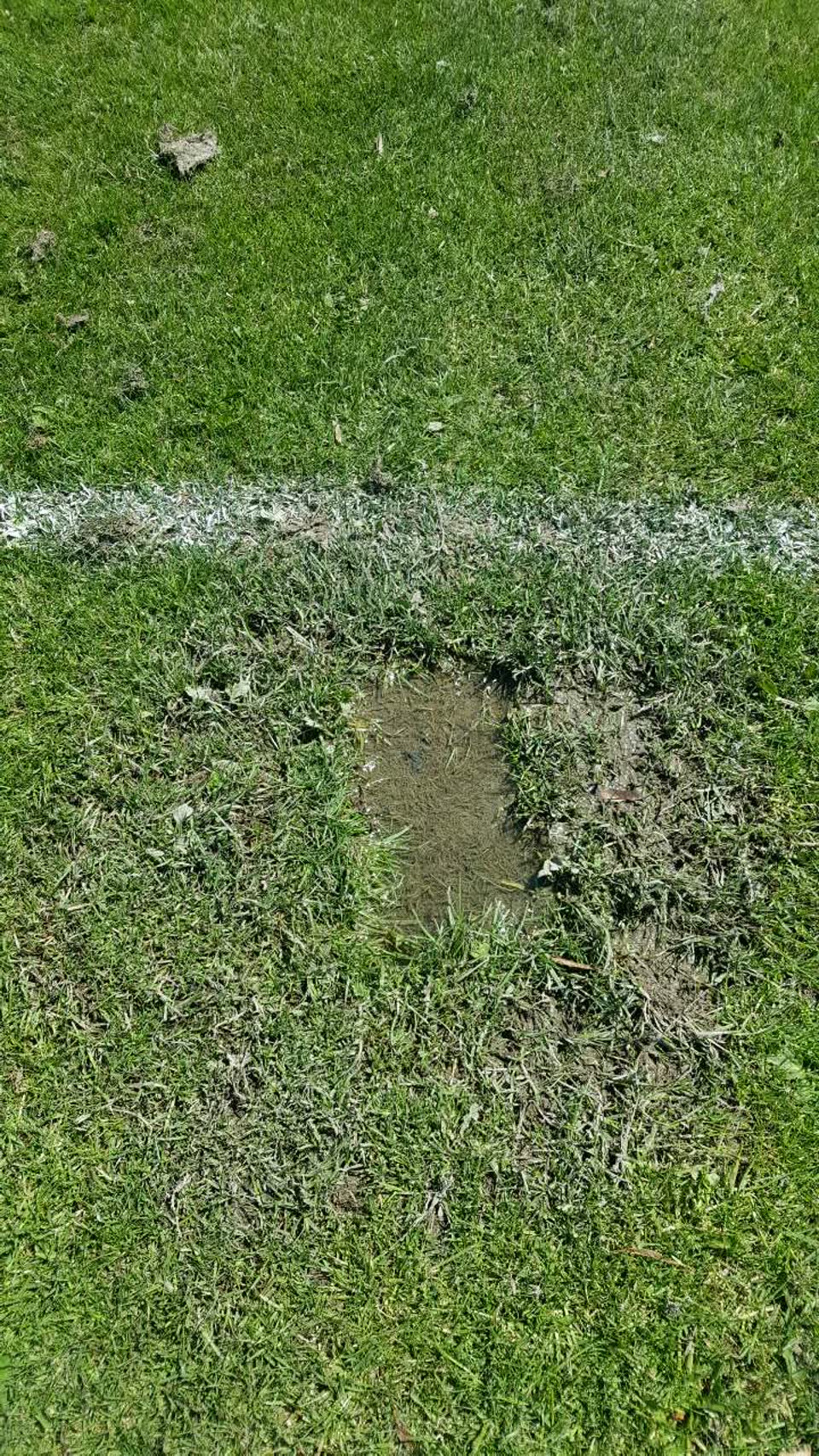The photograph attached to this parks report
