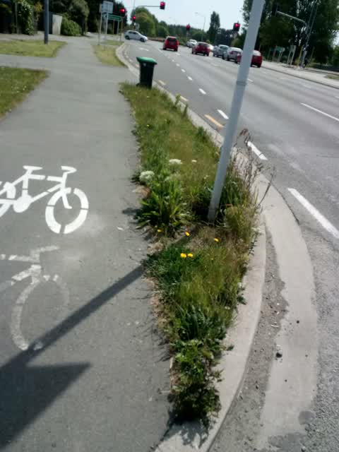 Roading/Streets, a report photo