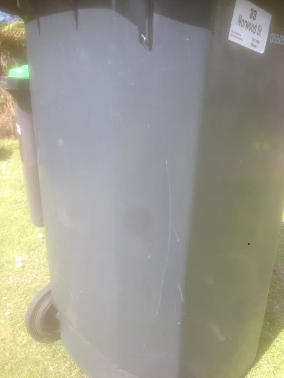 The photograph attached to this rubbish/recycling report