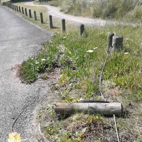 Roading/Streets, a report photo