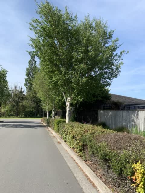 Parks, a report photo