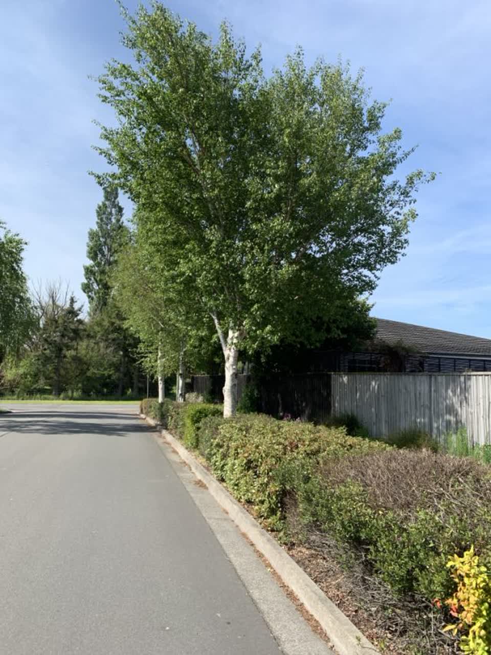 The photograph attached to this parks report