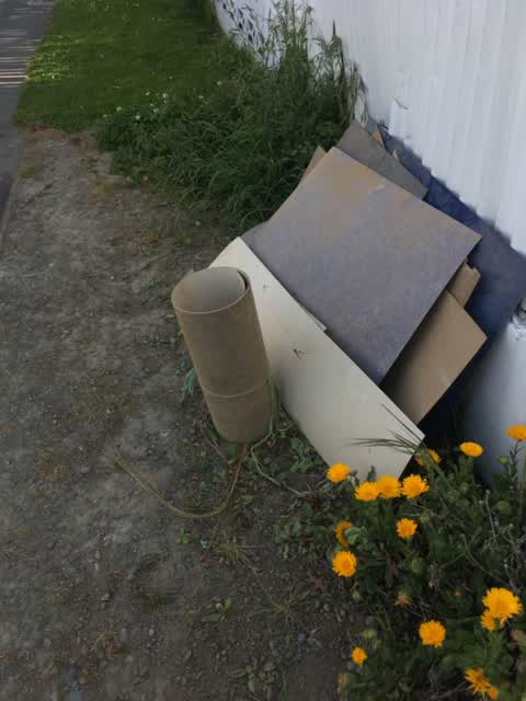 Rubbish/Recycling, a report photo