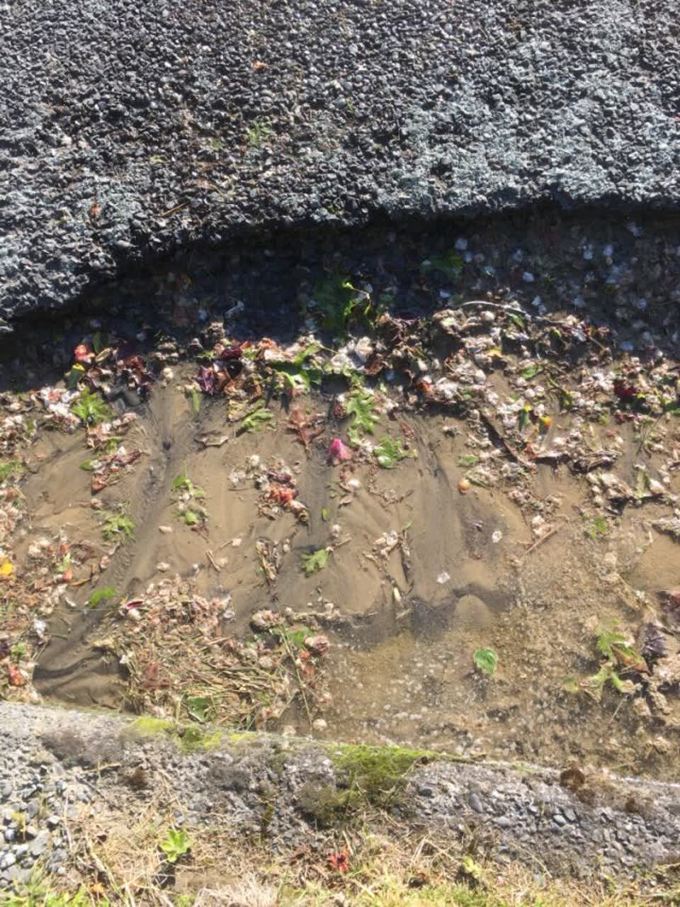 The photograph attached to this water supply report