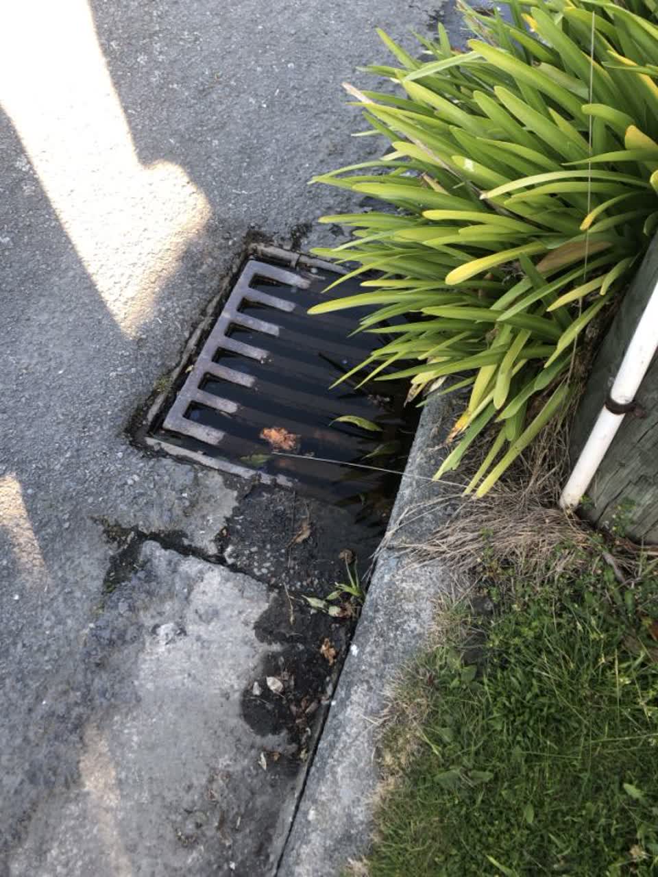 The photograph attached to this flooding report
