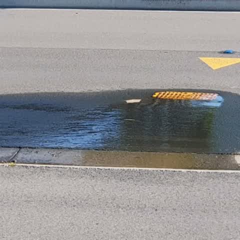 Roading/Streets, a report photo
