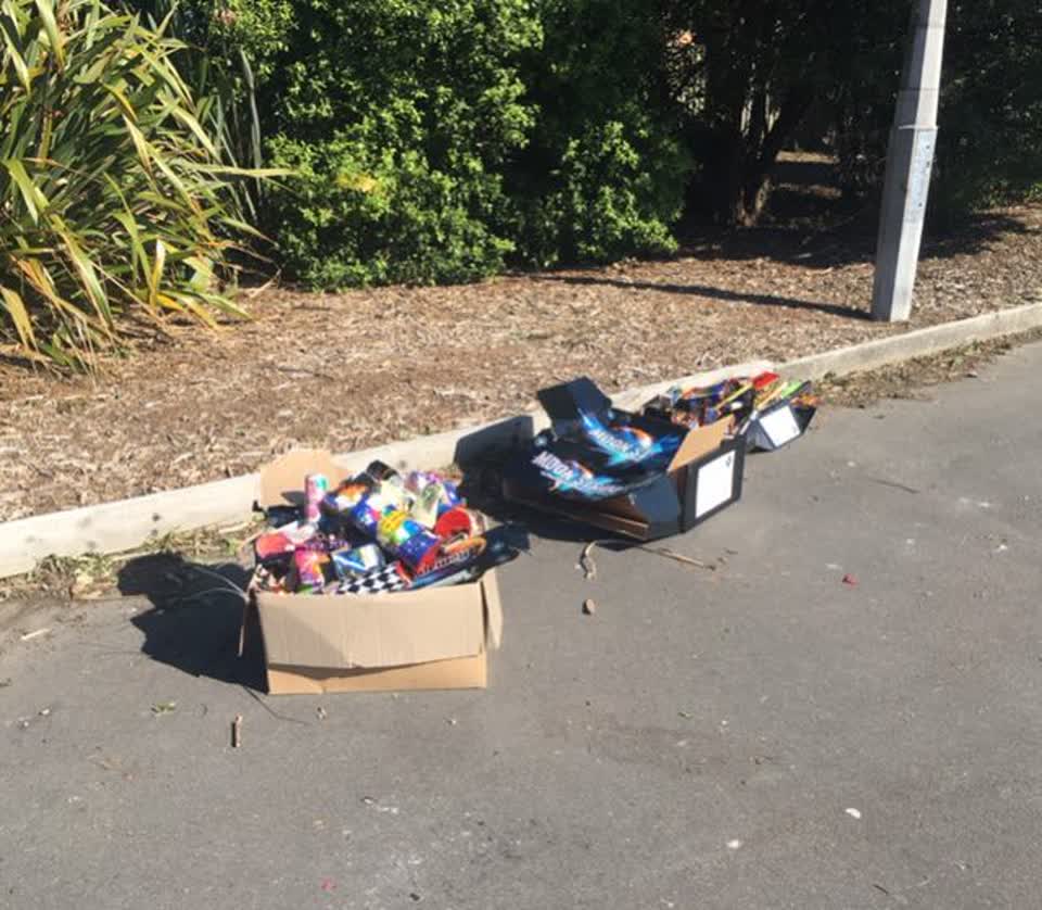 The photograph attached to this rubbish/recycling report