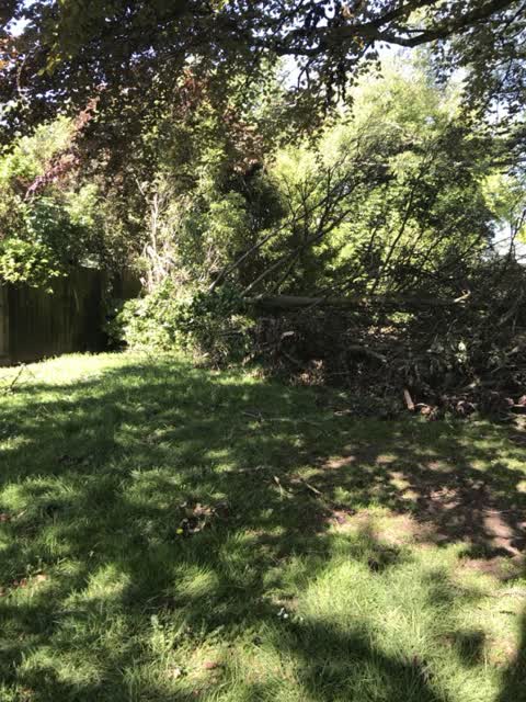 Parks, a report photo