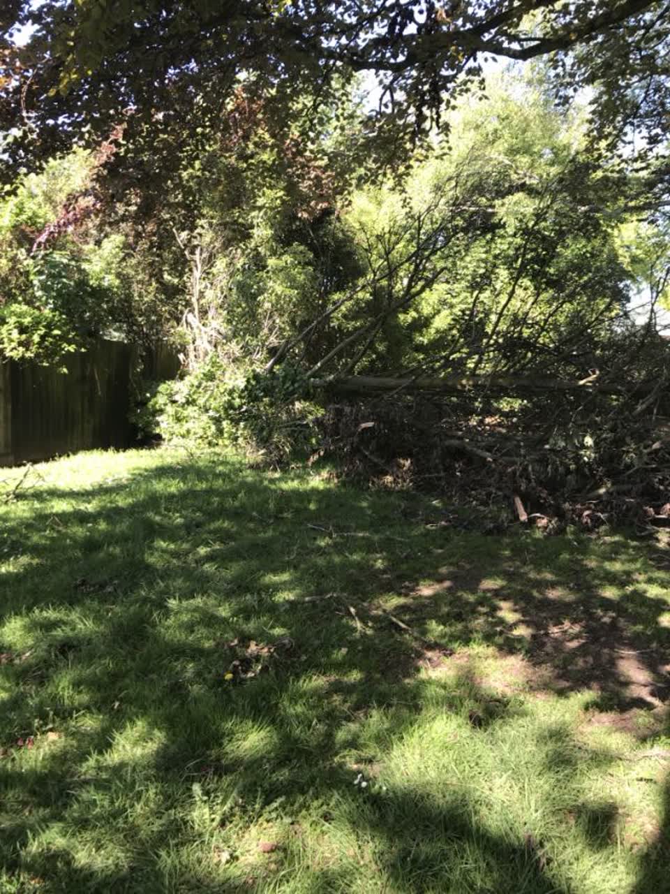 The photograph attached to this parks report