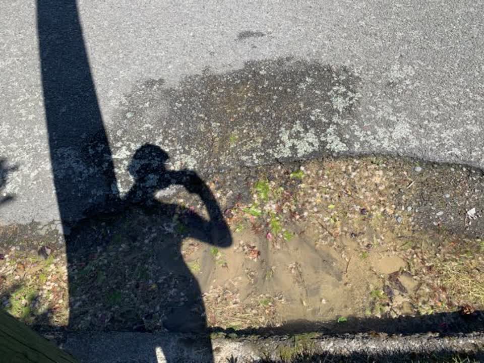 The photograph attached to this water supply report