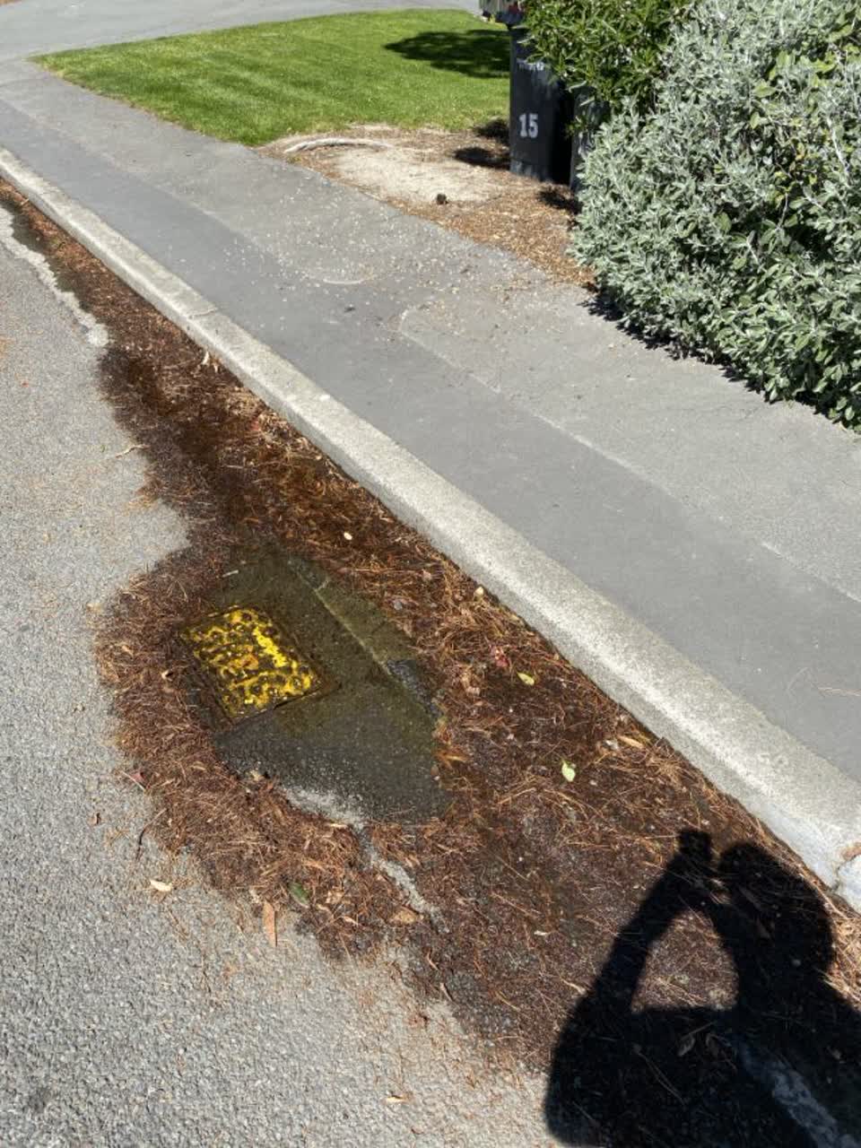 The photograph attached to this water supply report