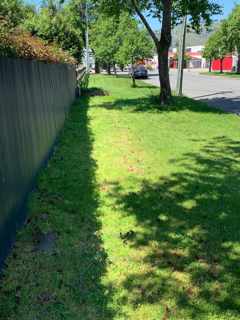 The photograph attached to this parks report