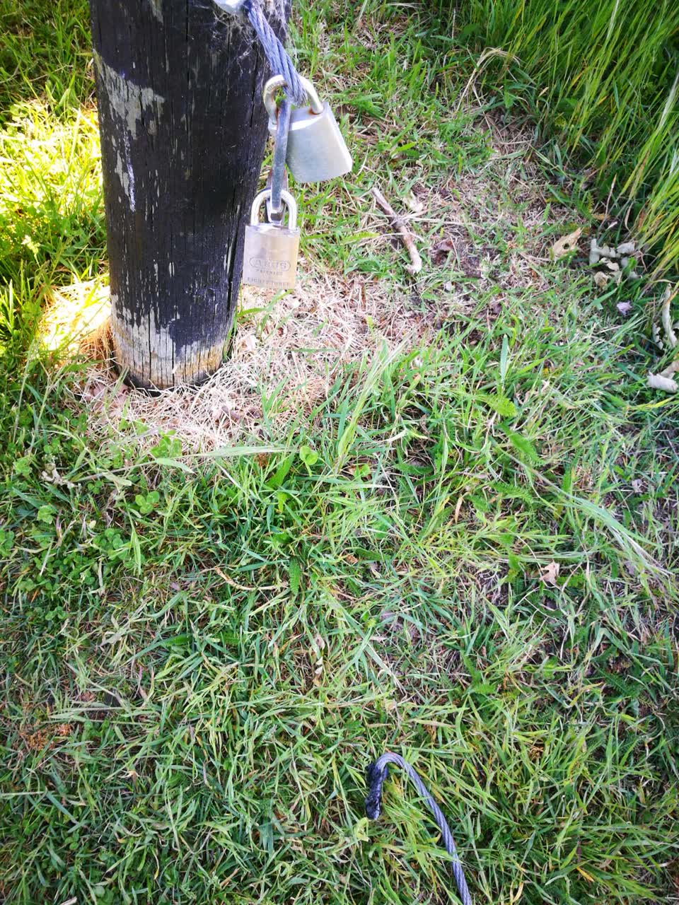 The photograph attached to this parks report