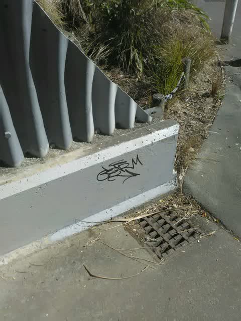 Graffiti — a report photo