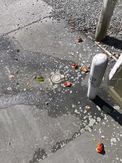 Wastewater/Stormwater, a report photo