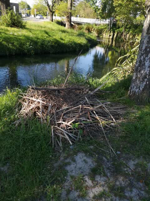 Parks, a report photo