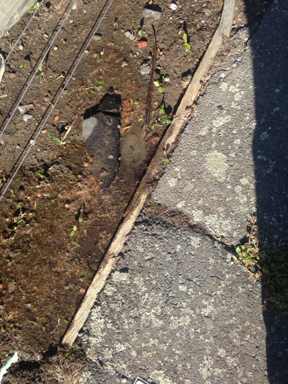 The photograph attached to this water supply report