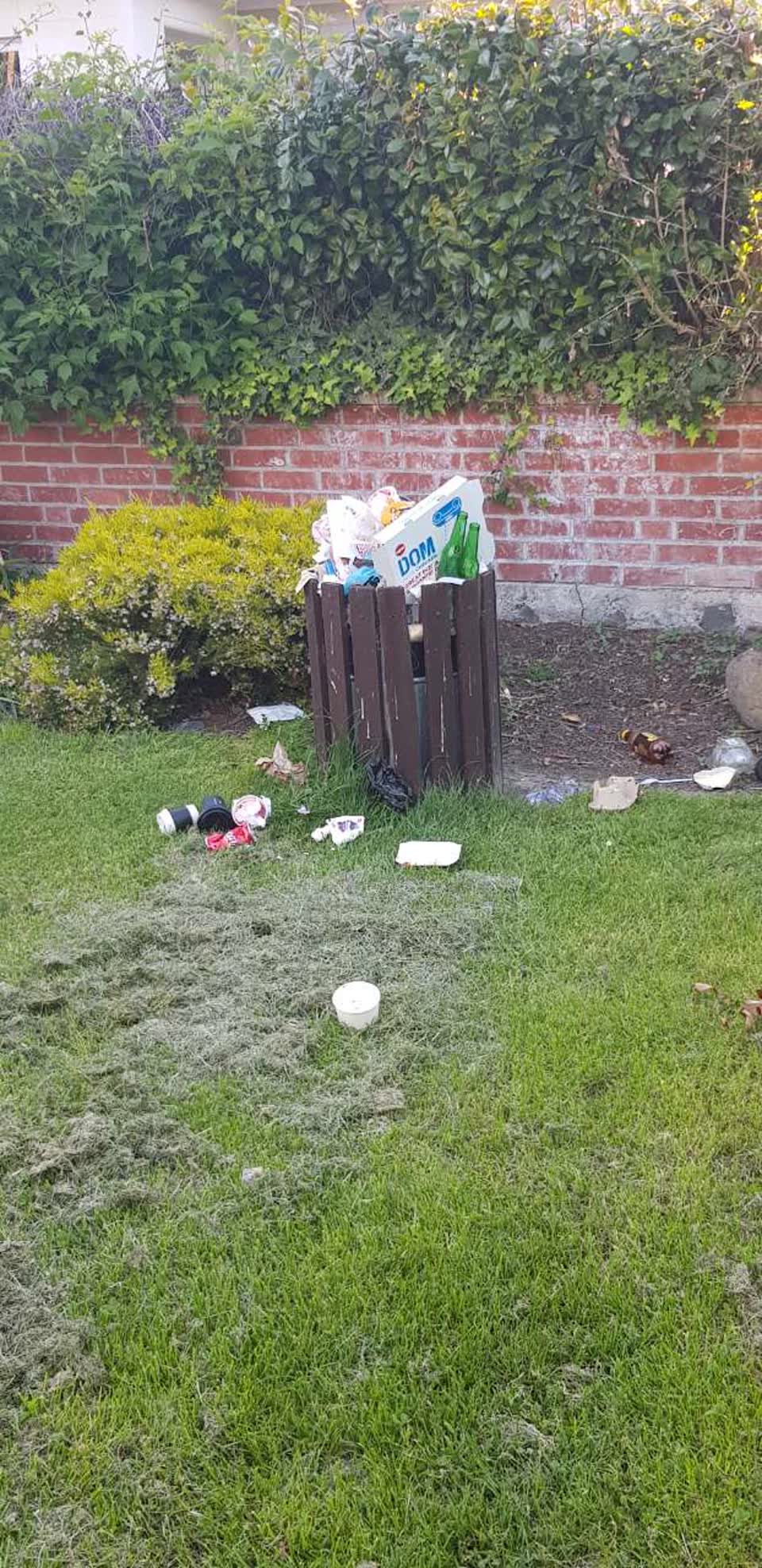The photograph attached to this rubbish/recycling report
