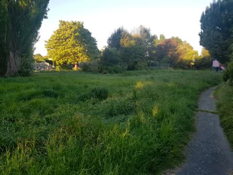 Parks, a report photo
