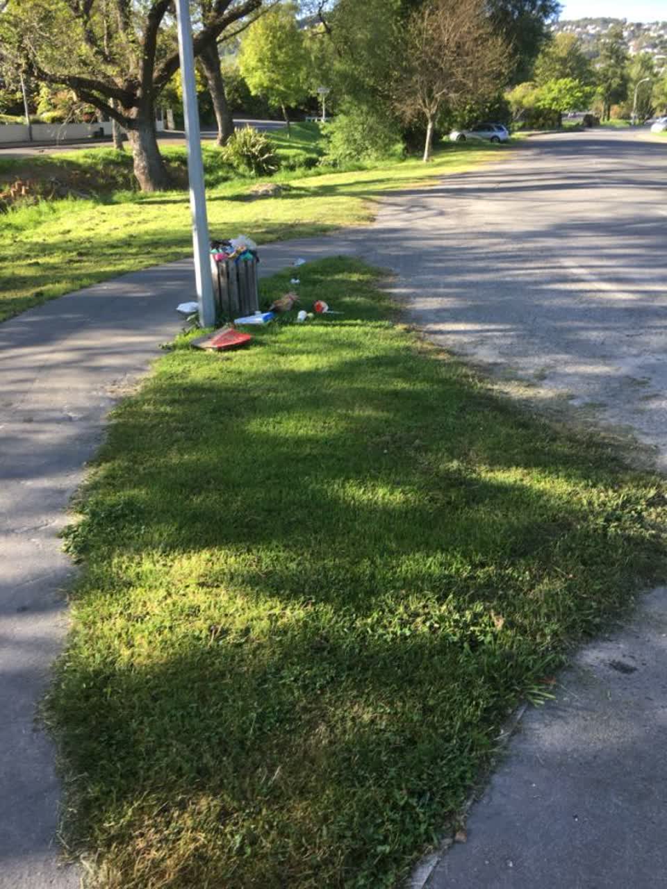 The photograph attached to this rubbish/recycling report
