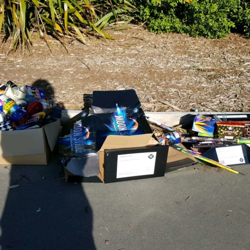 The photograph attached to this rubbish/recycling report