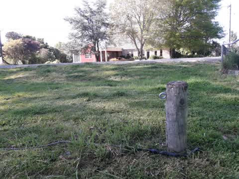 Parks, a report photo