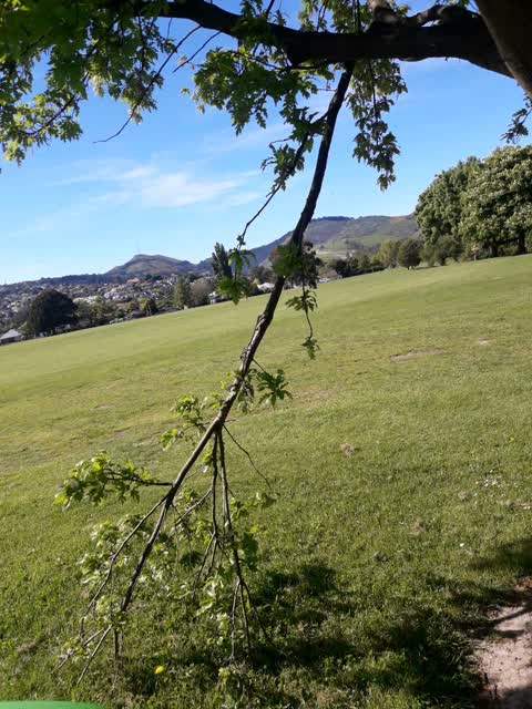 Parks, a report photo