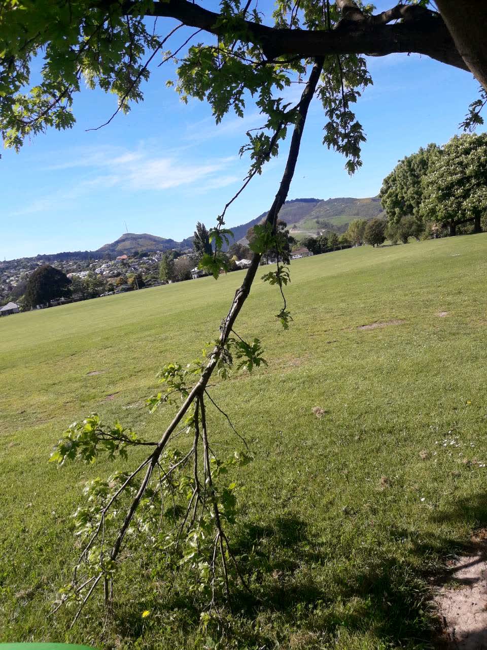 The photograph attached to this parks report