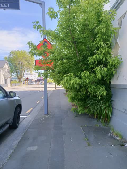 Roading/Streets — a report photo