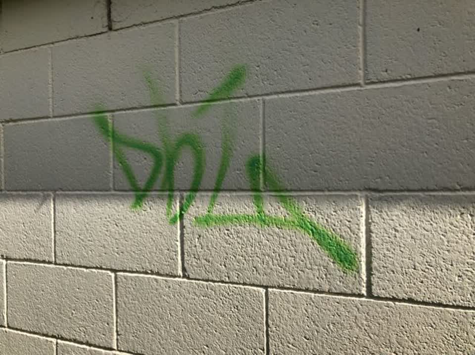 The photograph attached to this graffiti report