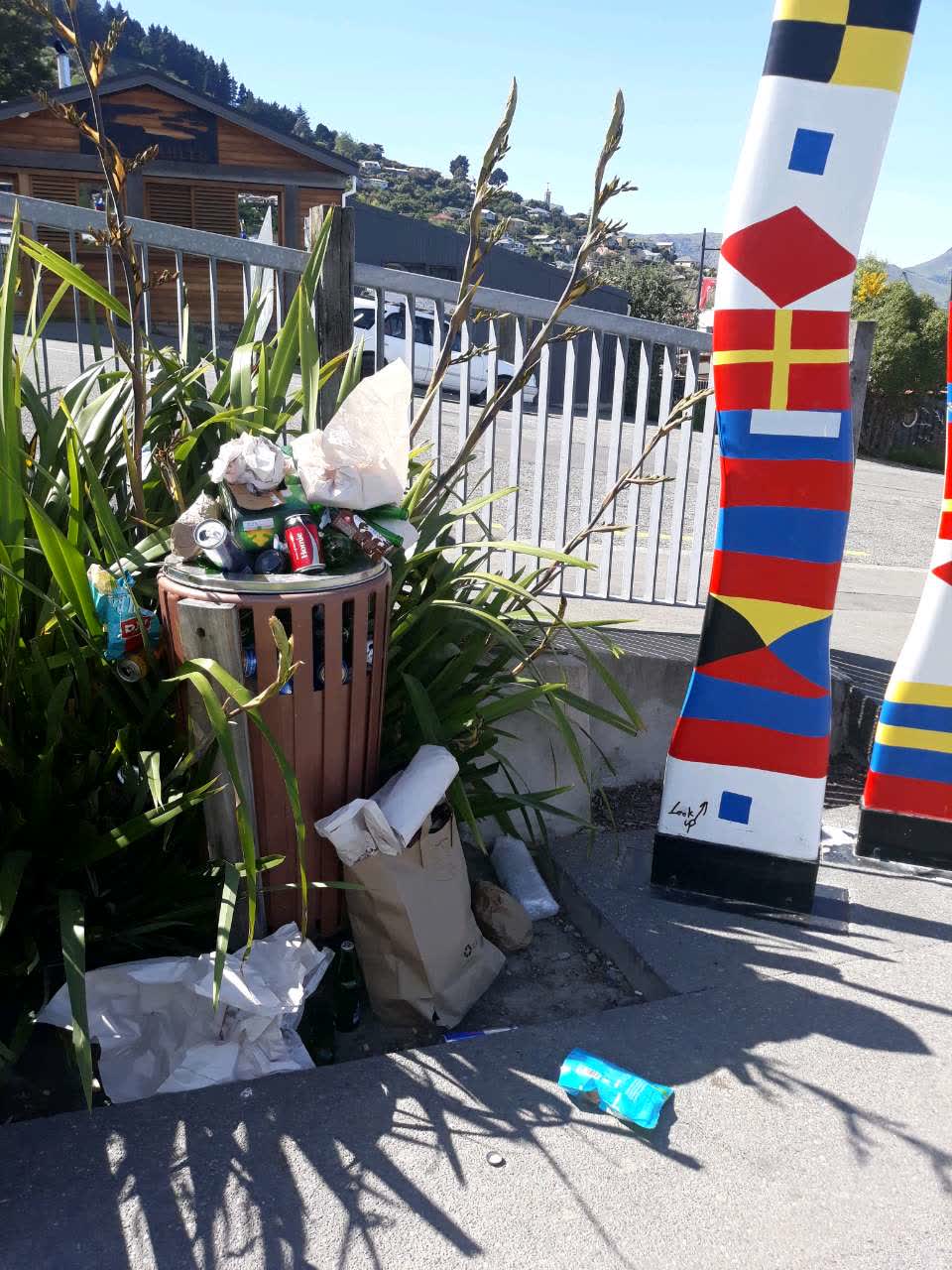 The photograph attached to this rubbish/recycling report