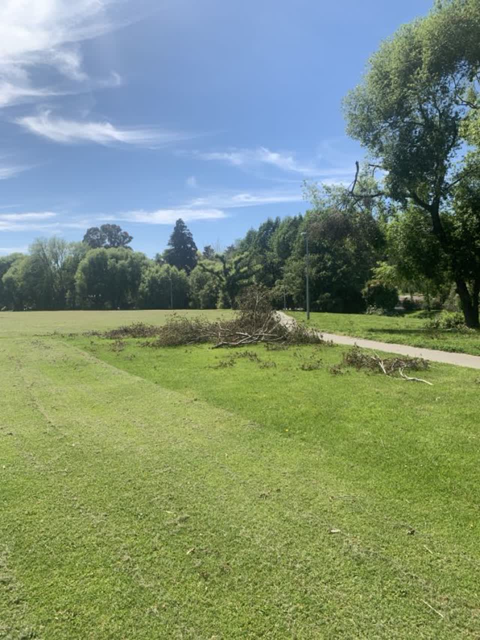 The photograph attached to this parks report