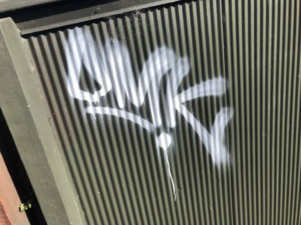 The photograph attached to this graffiti report