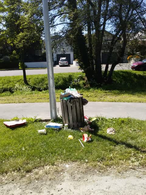 Rubbish/Recycling — a report photo