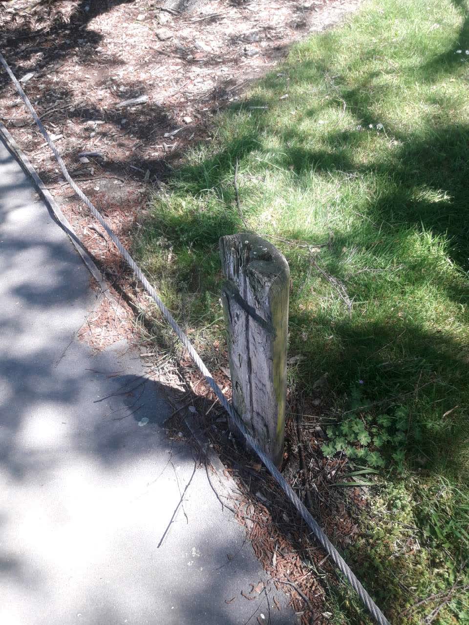 The photograph attached to this parks report