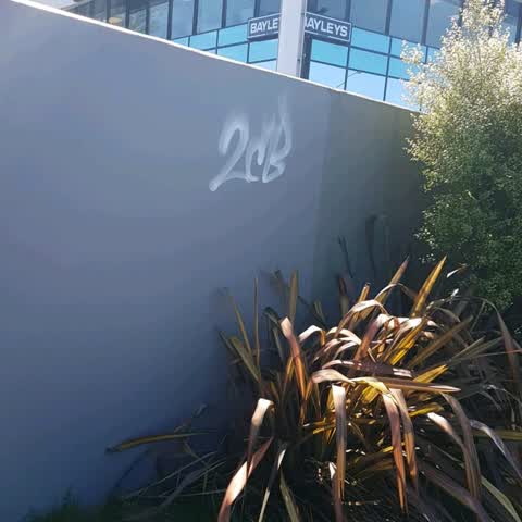 Graffiti, a report photo