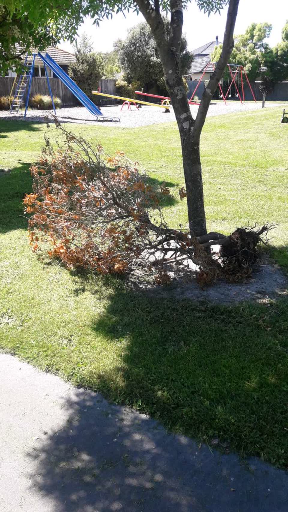 The photograph attached to this parks report