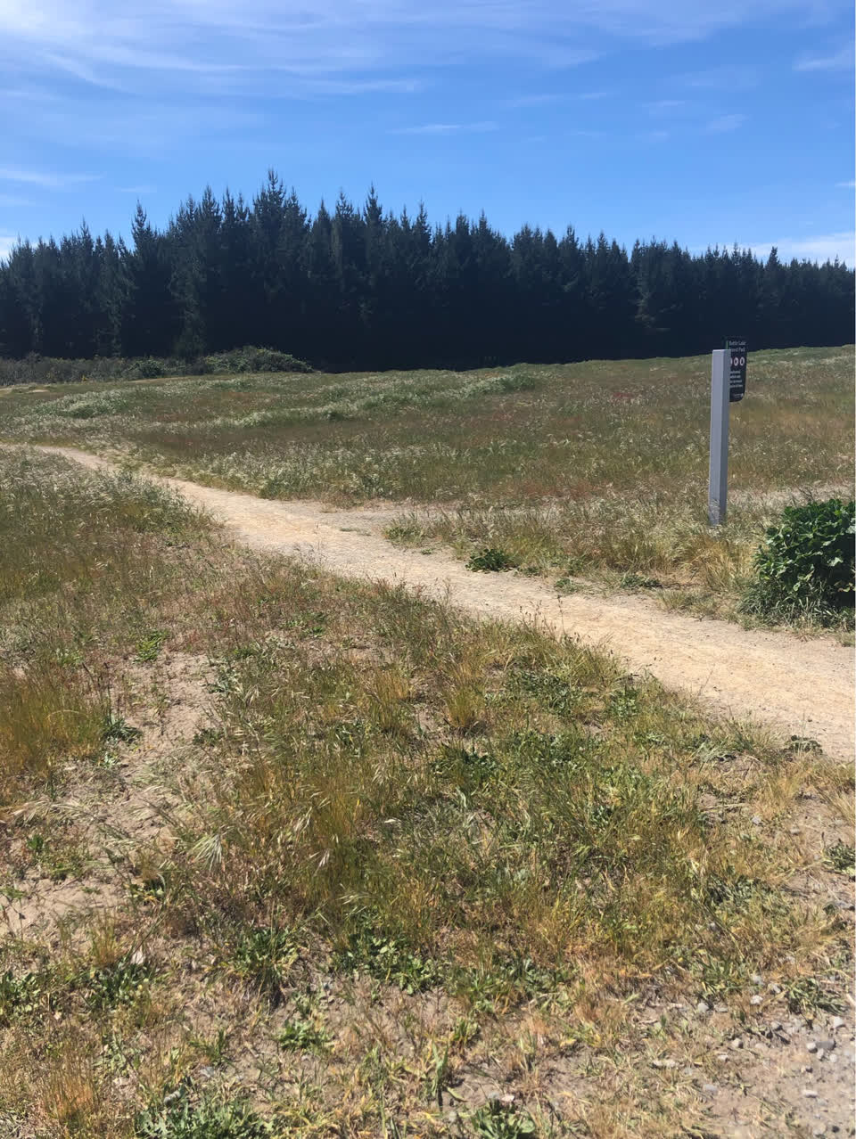 The photograph attached to this parks report