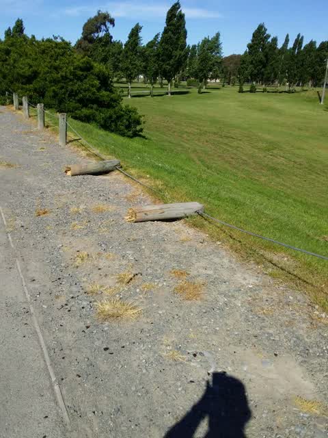 Parks, a report photo