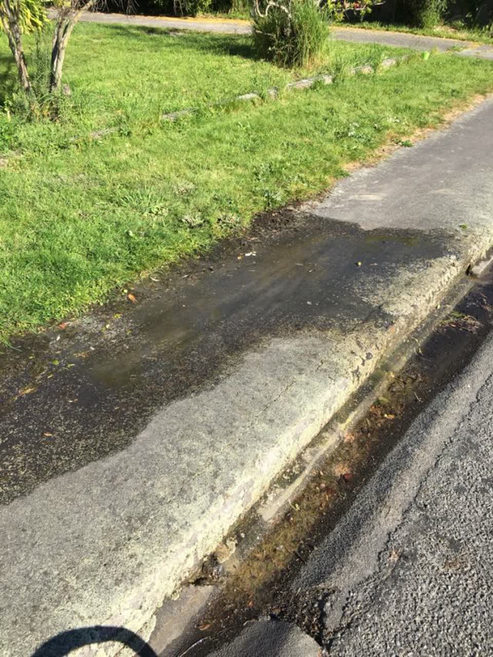 The photograph attached to this water supply report
